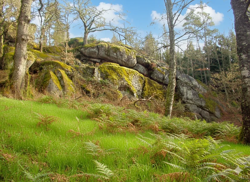 Randonnée Sentier d'interprétation des Pierres Fades · Saint-Marc-à-Loubaud