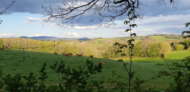 Randonnée Le Circuit des Deux Bourgs · Eyburie