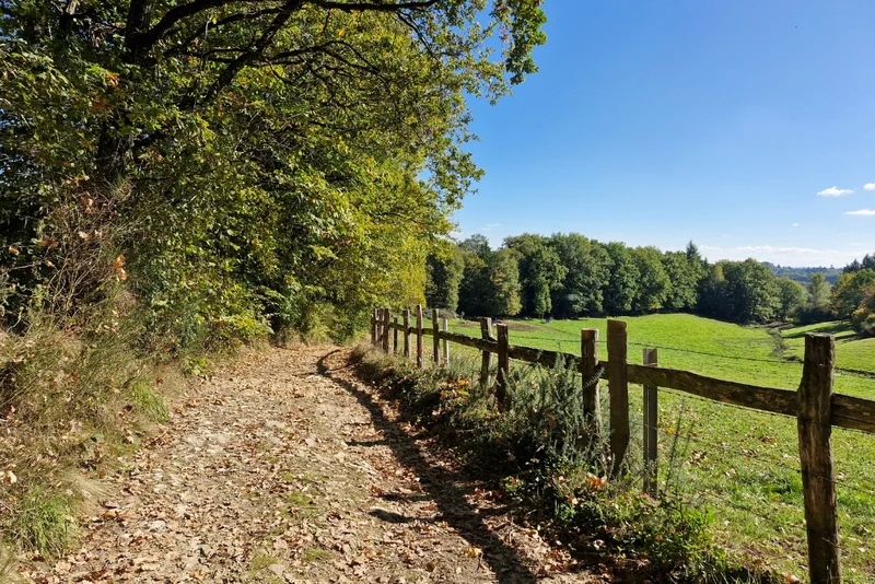 Randonnée La Randonnée de la Forêt · Condat-sur-Ganaveix