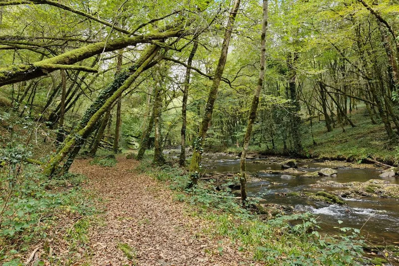 Randonnée Circuit des Vitraux · Orgnac-sur-Vézère