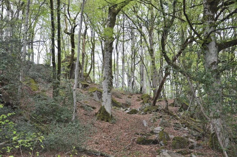Randonnée Autour des Murauds · Saint-Georges-Nigremont