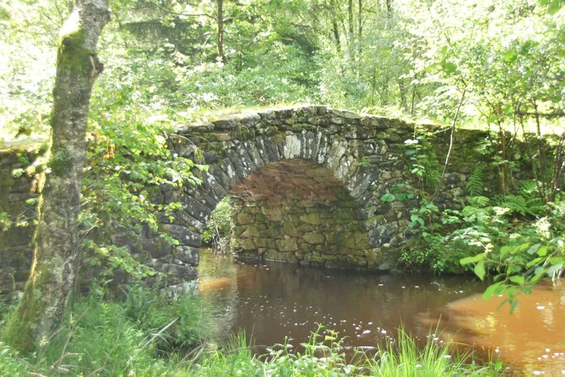 VTT Le pont de Variéras · Bugeat