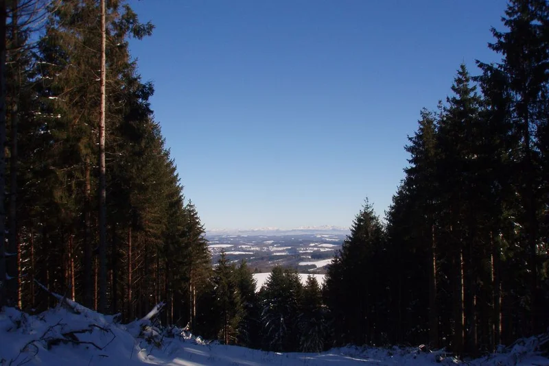 VTT Saint-Setiers - Piste Bleue · Saint-Setiers