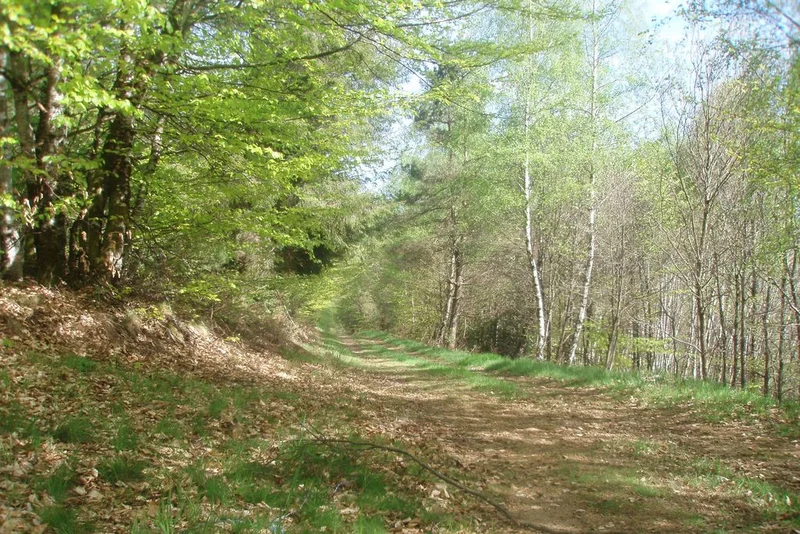VTT Saint-Setiers - Piste jaune · Saint-Setiers