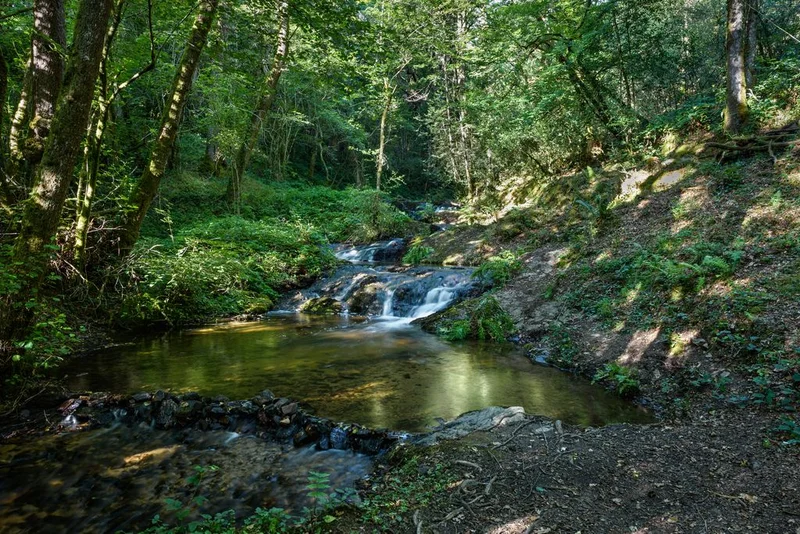 VTT Combe d'Enval · Chamberet
