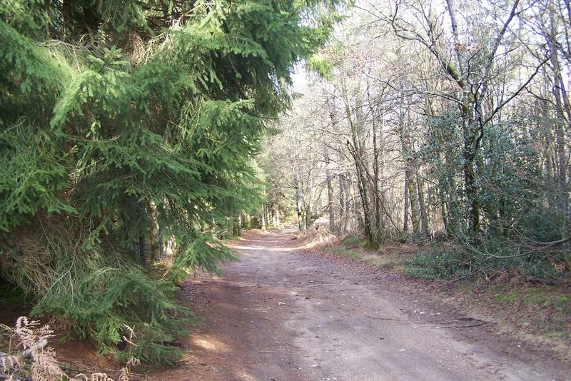 VTT Vers Pras · Sornac