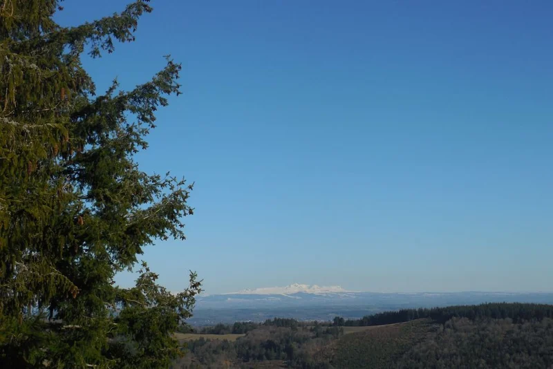 VTT Monts et Bruyères · Meymac