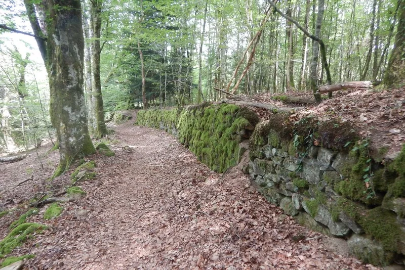 VTT Circuit VTT n°23 : Le tour de Saint-Merd-de-Lapleau · Saint-Merd-de-Lapleau