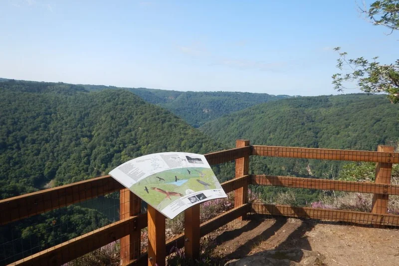 VTT Circuit VTT n°25 : Les ruisseaux des Gorges de la Dordogne · Laval-sur-Luzège