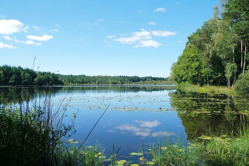 VTT Circuit VTT n°27 : Au bord des Etangs · Montaignac-sur-Doustre