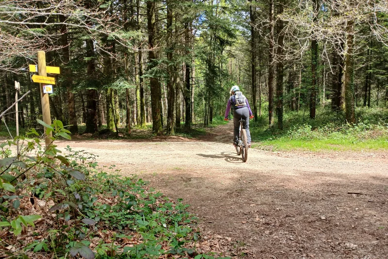 VTT Circuit VTT n°8 : Autour de la Grènerie · Lamongerie