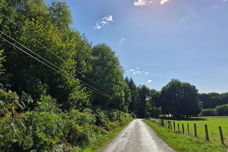 VTT Circuit VTT n°9 : Forêt de Meilhards · Lamongerie