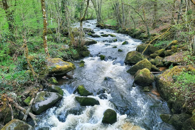 Vélo de route Au fil de l'eau · Felletin