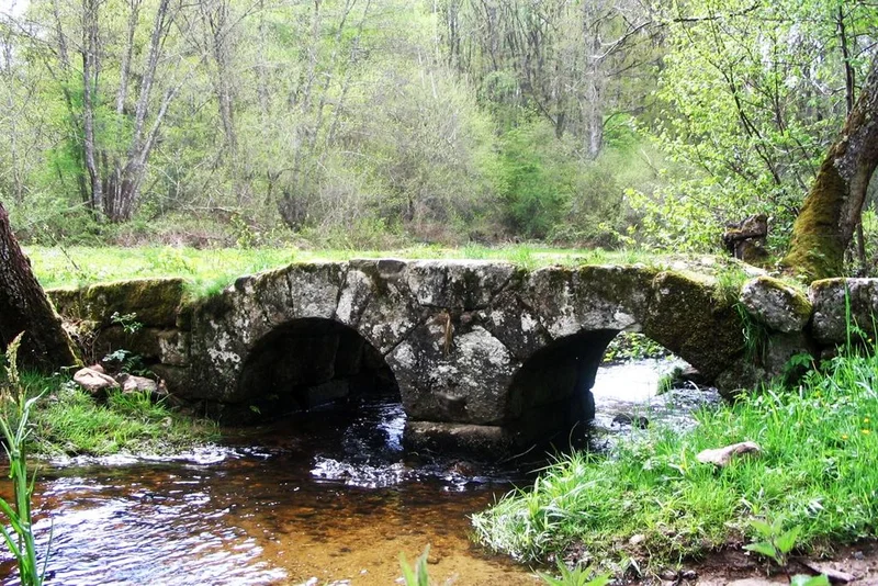 Vélo de route Echappée bucolique · Vallière