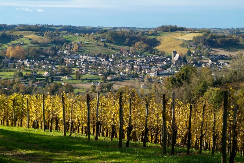 Randonnée Vignobles de Cuqueron · Parbayse