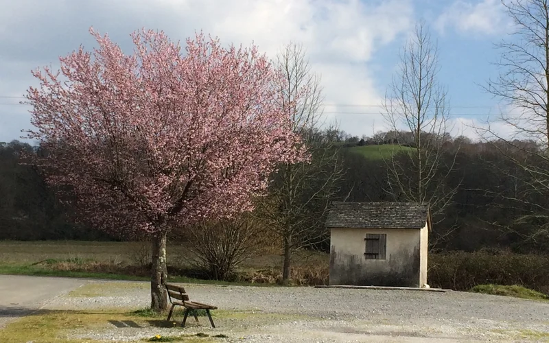 Randonnée Tour de Langladure · Arros-de-Nay