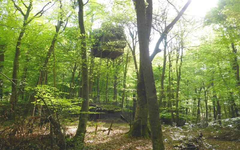 Randonnée Bois de Coarraze · Coarraze