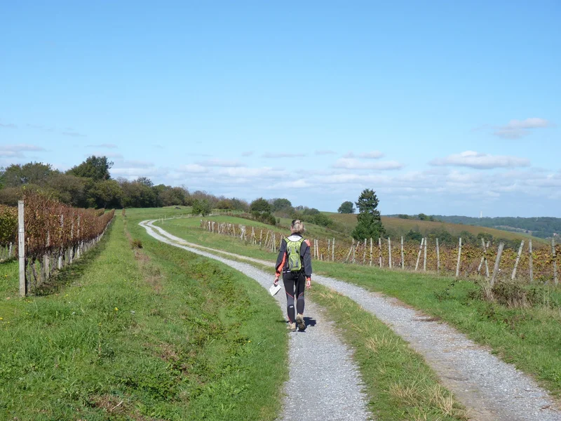 Randonnée Conchez-de-Béarn : entre architecture et vignoble · Conchez-de-Béarn