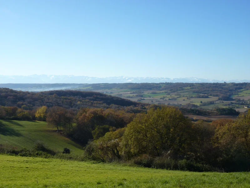 Randonnée Lespielle : entre moulin et orchidées · Lespielle
