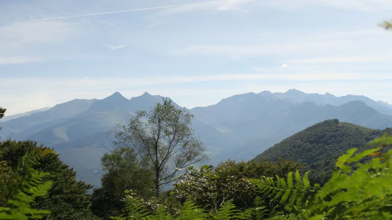 Randonnée N°41 Chemin de Pirait · Athas