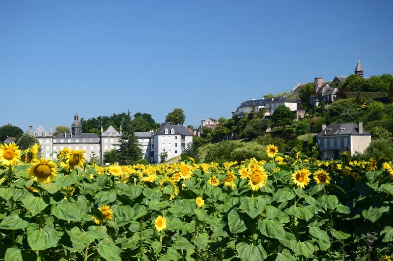 Randonnée Lescar - Cité et nature · Lescar