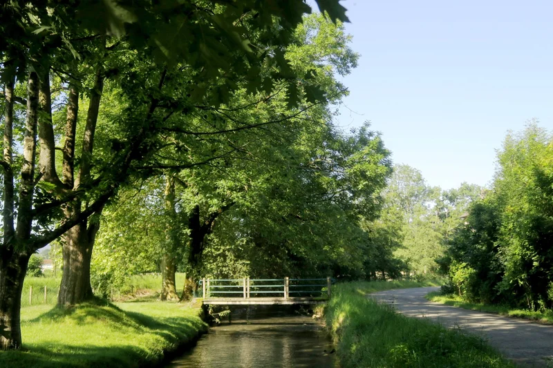 Randonnée N°85 Bois de Goès-Précilhon · Goès
