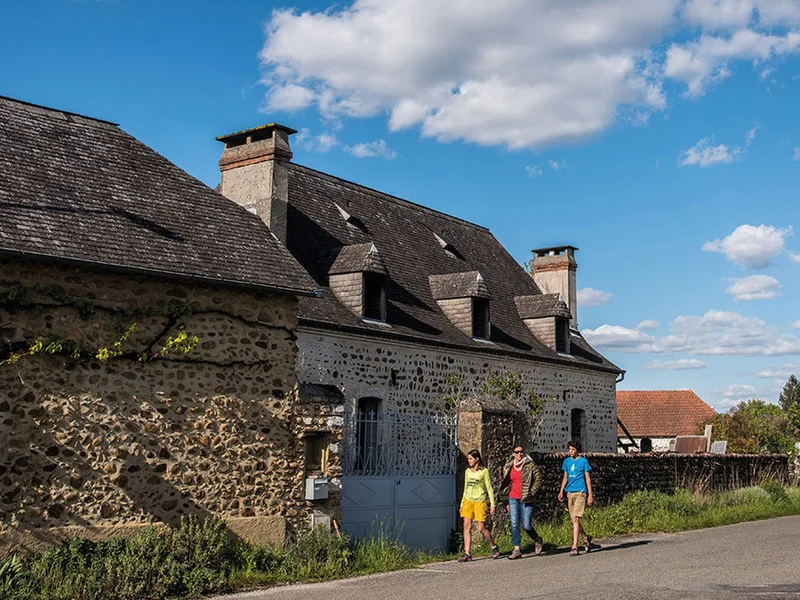 Randonnée Ouillon : Entre lande et forêt · Ouillon