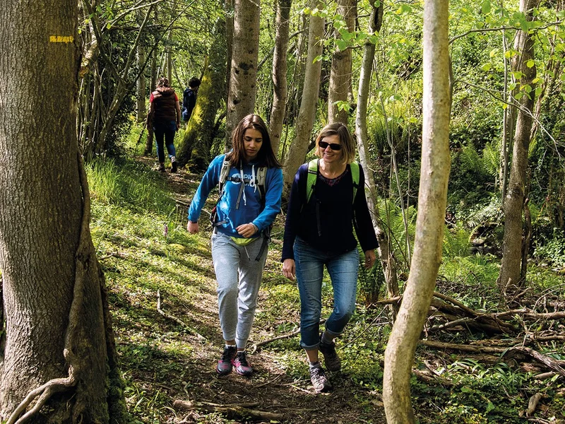 Randonnée Ouillon : chemin des bergers · Ouillon