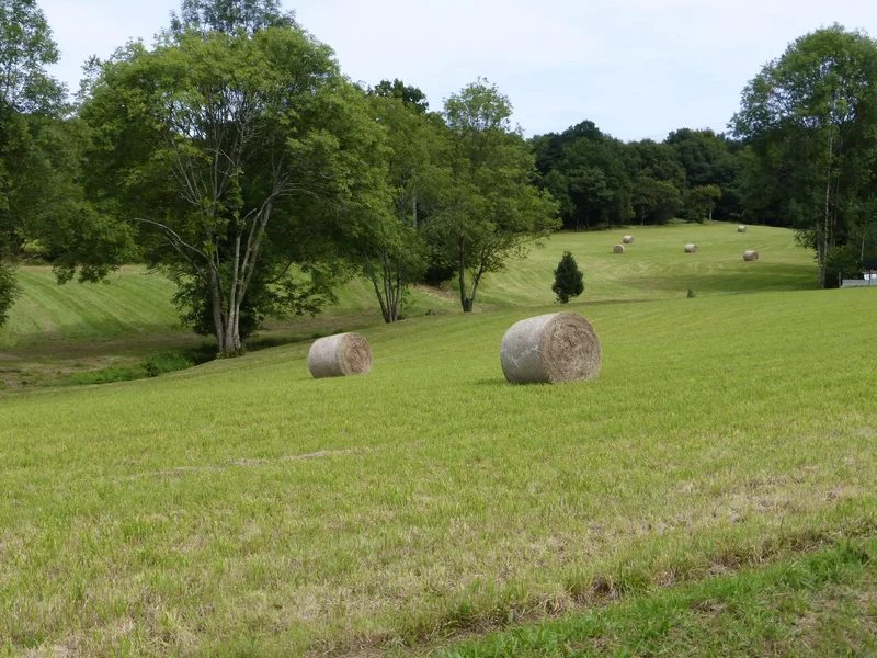 Randonnée Maucor : Berges du Laaps · Maucor