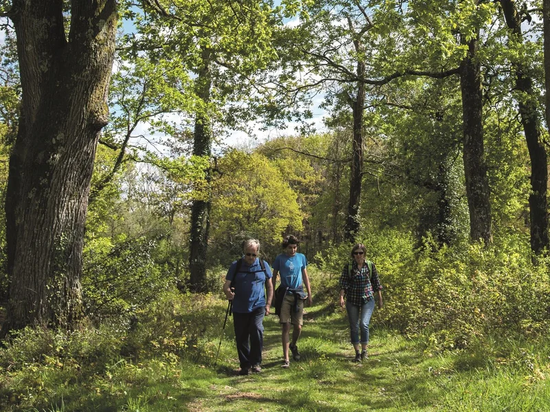 Randonnée Serres-Morlaàs : forêt de Lahitau · Serres-Morlaàs
