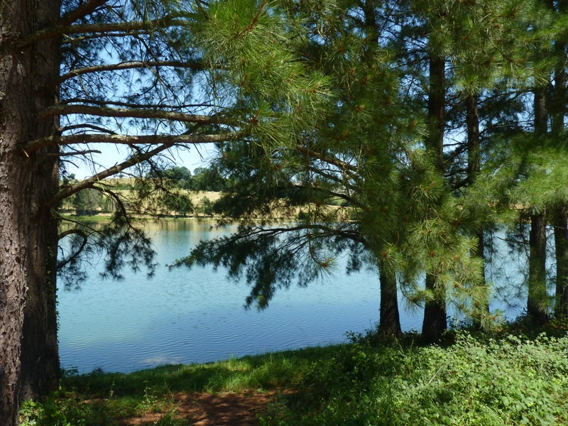 Randonnée SERRES-CASTET : tour du lac · Serres-Castet