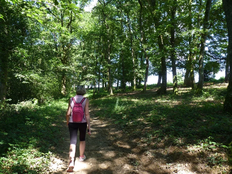 Randonnée Le bois de Sauvagnon · Sauvagnon