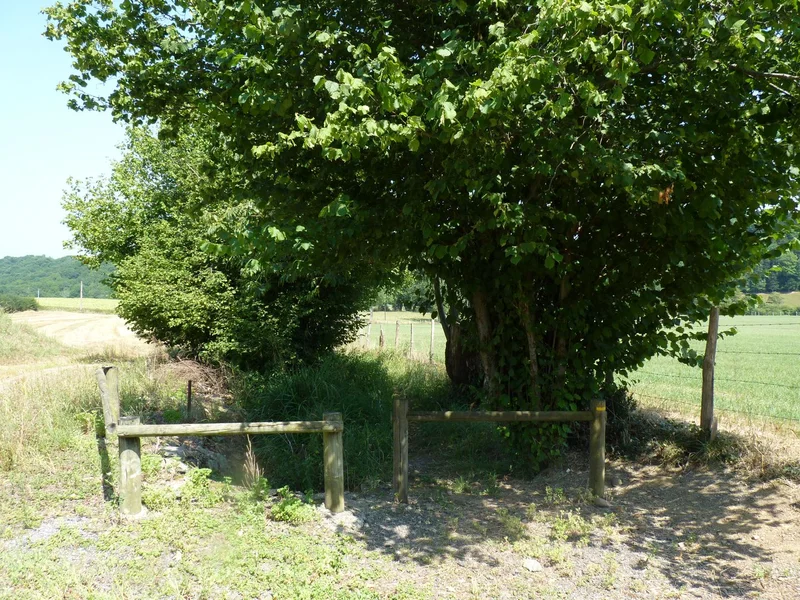 Randonnée Navailles-Angos : dans le vallon de Navailles · Navailles-Angos