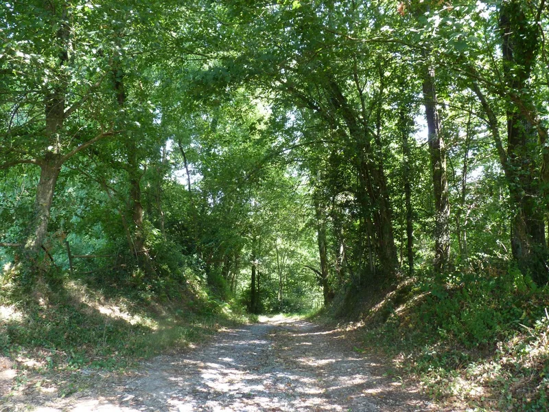 Randonnée Astis : les Barthouils · Astis