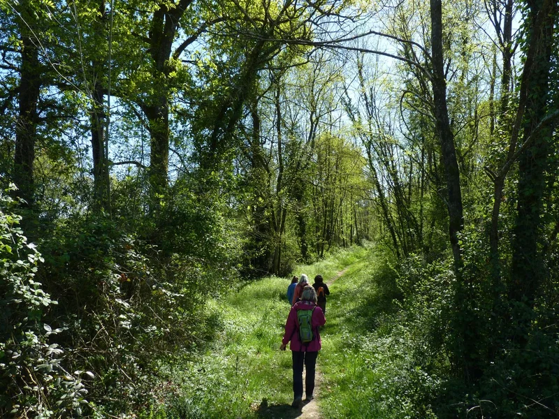 Randonnée Lalonquette : les coteaux du Gabas · Lalonquette