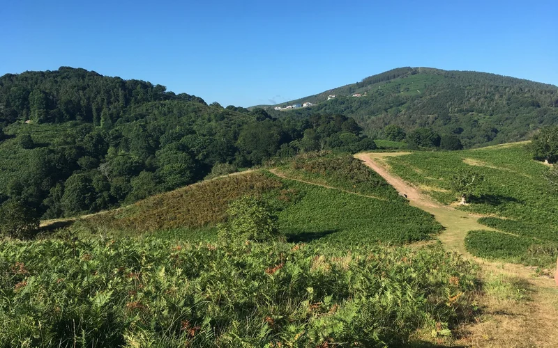 Randonnée Sentier des mulets / Mandobidexka · Ustaritz
