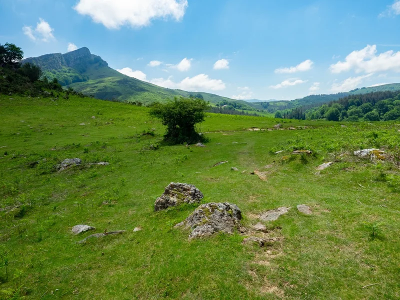 Randonnée Circuit des palombières / Usategietako itzulia · Ustaritz