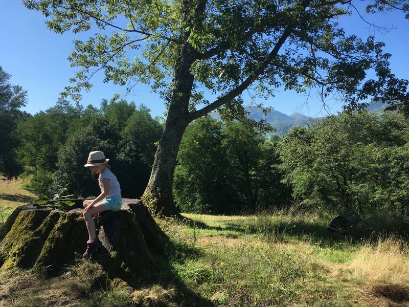 Randonnée Colline de la Bergerie · Ustaritz