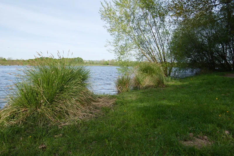 Randonnée Momas : Du Luy à l'Ayguelongue · Momas