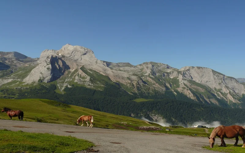 VTT La descente Col d'Aubisque/Louvie-Soubiron · Béost