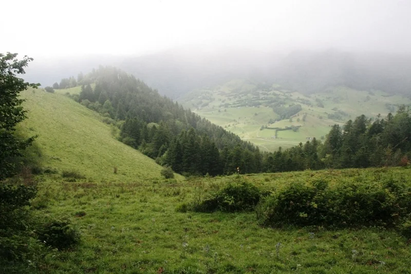 VTT La boucle de Lazerque · Izeste