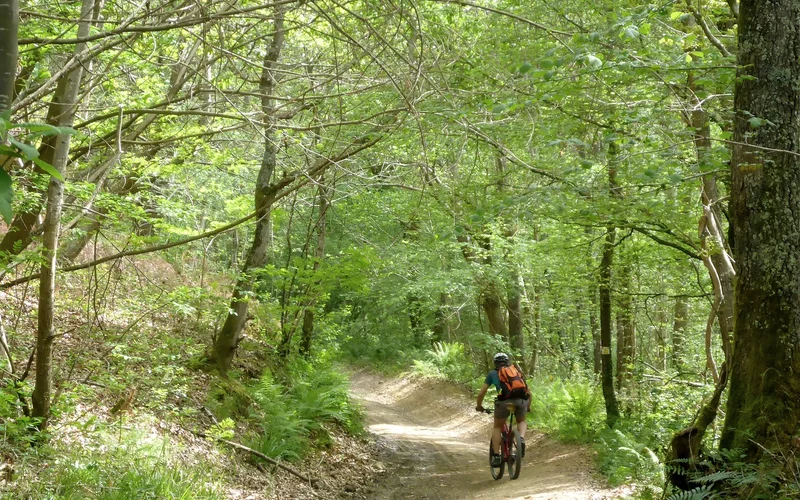 VTT VTT 4 Ousse et Lagoin · Lagos