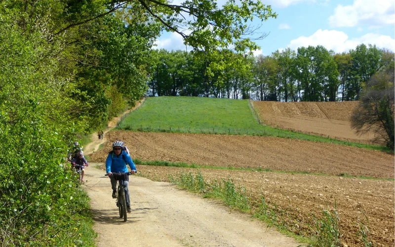 VTT VTT 6 Tour du Pays de Nay · Montaut