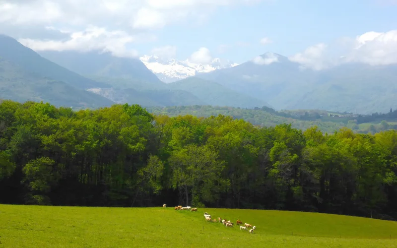 VTT VTT 3 Bastides et châteaux · Igon