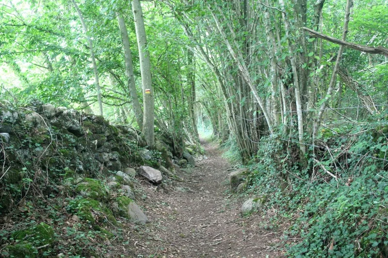 VTT La boucle des trois villages à VTT · Bescat