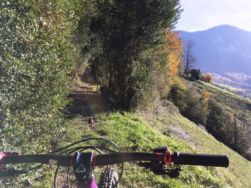 VTT VTT N°6 -  Fougeraies de Laünde · Lourdios-Ichère