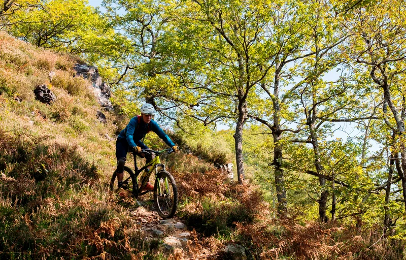 VTT VTT N°31 - Tour Bergout Ichantes Jaupins · Orcun