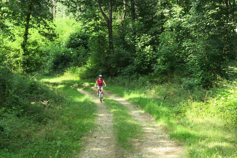 VTT VTT N°71 - Le Bois de Saint-Pée · Oloron-Sainte-Marie