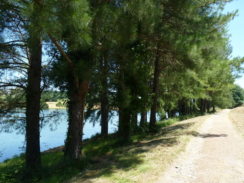 VTT Eslourenties-Daban : la randonnée des lacs à VTT · Eslourenties-Daban