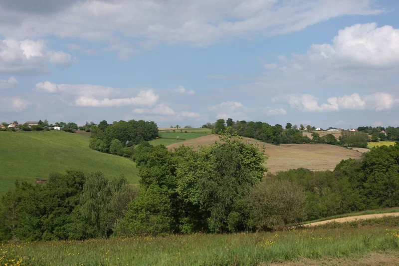 VTT Montardon : le Tour du Luy de Béarn à VTT · Montardon